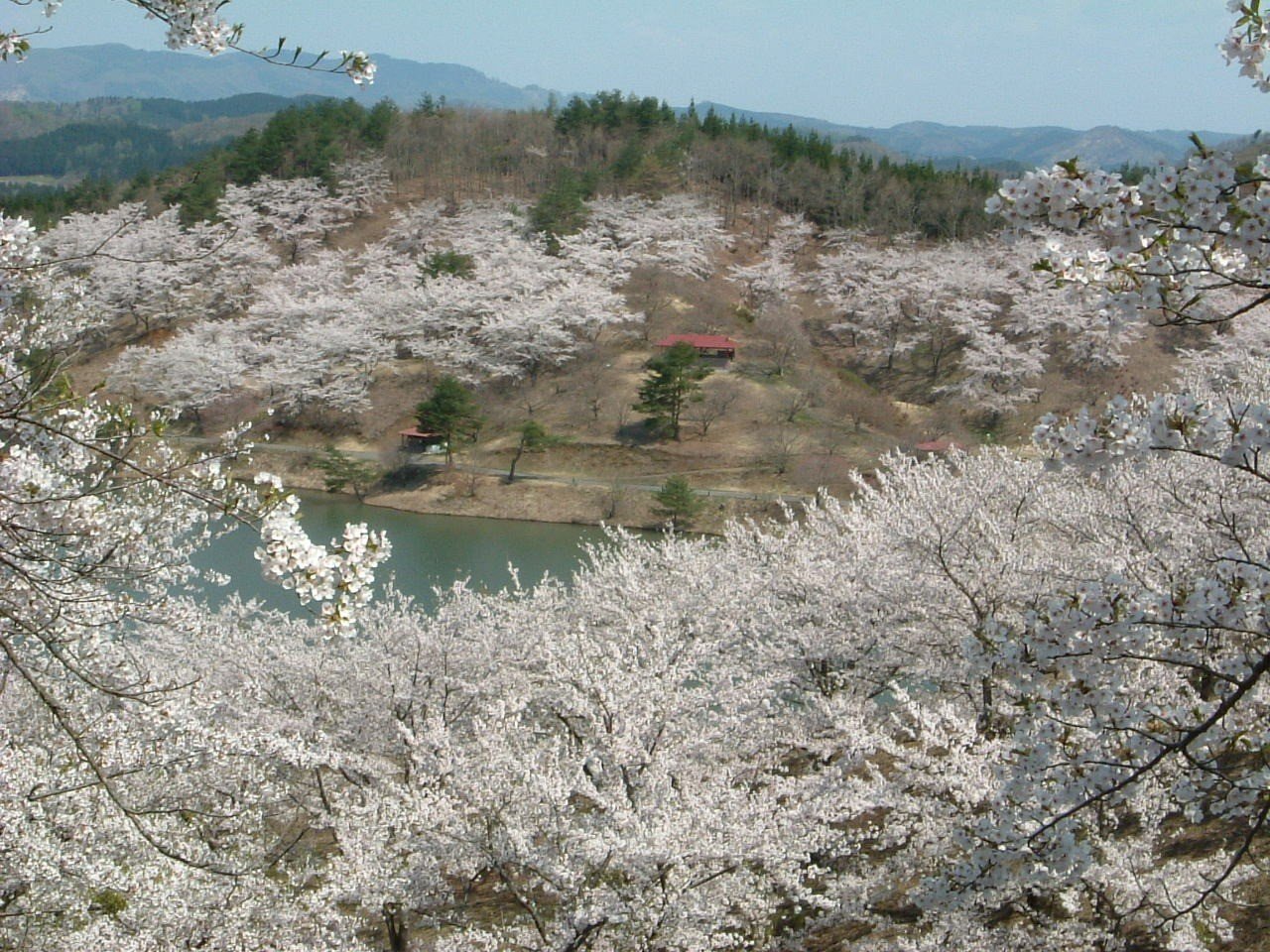 🏞️ 야시오 휴양림 (야시오 이코이노모리) 이미지 2